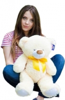 Cream color Bear - 80-90 cm