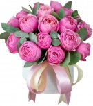 Silva Gorgeous - from 5 to 25 stems