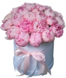 25 Peonies at a Hat Box