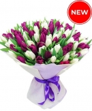 Tulips White & Purple mix
