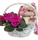 The Cute Gift Basket