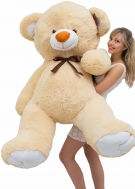 Cream color Bear of 160-170 cm