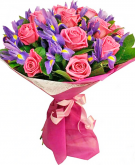 Pink Roses in a blue shade - 4 sizes