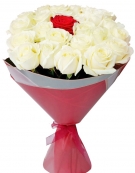 White with Red Classic. From 7 to 101