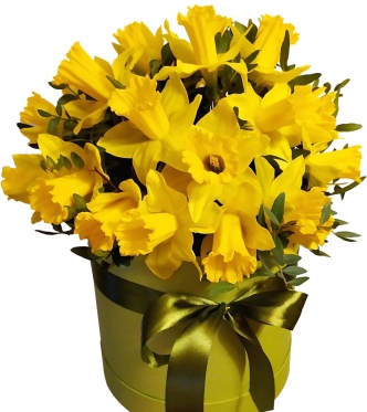 Narcissus at the Gift Box