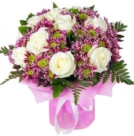 White roses on a pink background