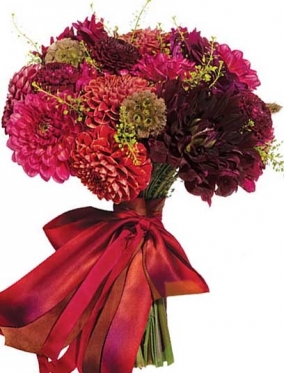 Георгины - темные оттенки, 6 размеров