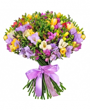 Spring Boom - 6 options from: