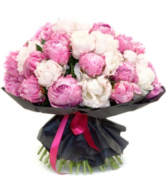 Mixed Tones Peonies, from 5 to 51