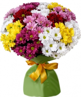 Fireworks - from 5 to 29 Chrysanthemums