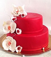 Two-Tires Biscuit Individual image 0